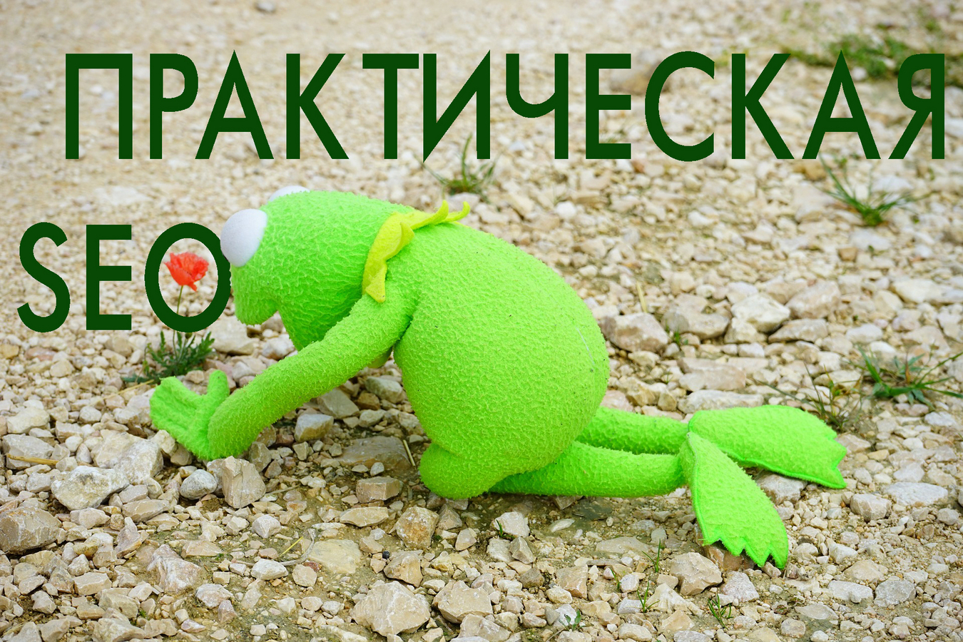 Курс Секреты практического SEO Platinum