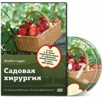 Курс «Садовая хирургия»