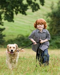 Мохнатый друг человека