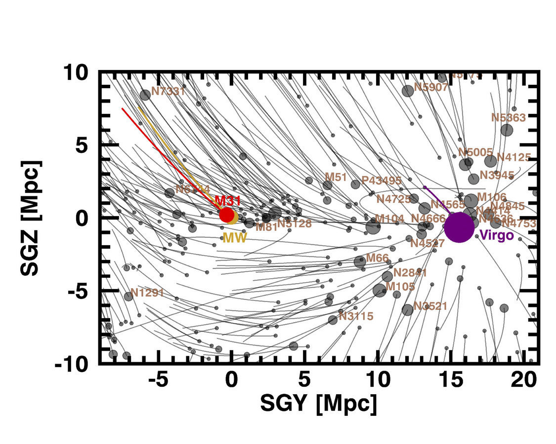 Орбиты галактик в локальном суперкластере. Наша главная галактика Млечный Путь (MW, желтый) и наша спутница галактики Андромеды (M31, красный) участвуют в нисходящем потоке от обширной области под недрами, называемой Локальной Пустотой, и к Кластеру Девы, представленной фиолетовой сферической окружностью. Большинство галактик между нами и кластером Девы в конечном итоге попадают в кластер, но мы немного находимся за пределами зоны захвата.