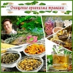 Семинар «Очищение организма травами и народными методами»
