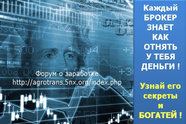 форекс школа