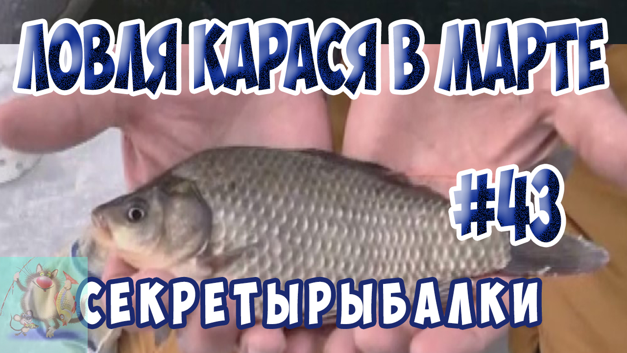 Ловля карася dtcyjq