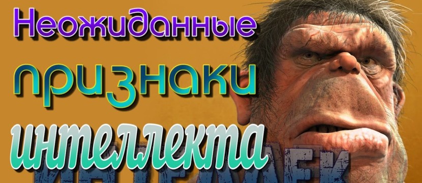 Признаки высокого интеллекта