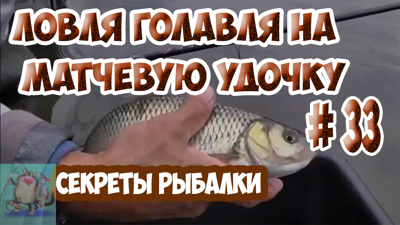 Ловля голавля на удочку