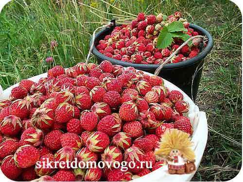 Как сделать турник для улицы своими руками Как сделать турник для улицы своими руками