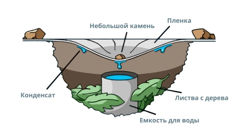 Добыть воду в лесу или на необитаемом острове. Делаем опреснитель морской воды из пакета, бутылки и листьев 