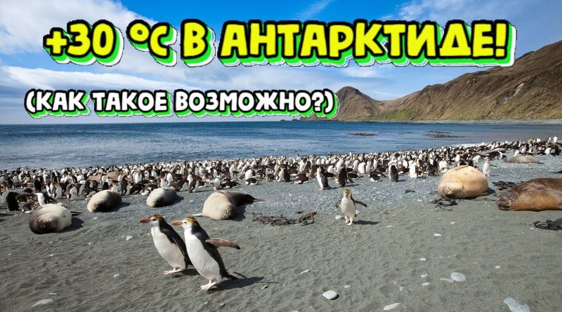 5. Температура + 30 °С и что такое антарктический оазис (какая погода в Антарктиде)  Источник: https://enottravel.ru/top-5-interesnye-fakty-ob-antarktide-pochemu-belye-medvedi-ne-edyat-pingvinov-temperatura-30-s-i-chto-takoe-antarkticheskij-oazis/; 4. Северный полюс (Арктика) — это замерзший океан, окруженный материками. Южный полюс (Антарктида) — это материк, окруженный океанами. ; 1. На Северном полюсе теплее чем на Южном ;2. На полюсах невозможно заболеть, вирусов не существует, а время выдумано. ; 3. Почему белые медведи не едят пингвинов; 