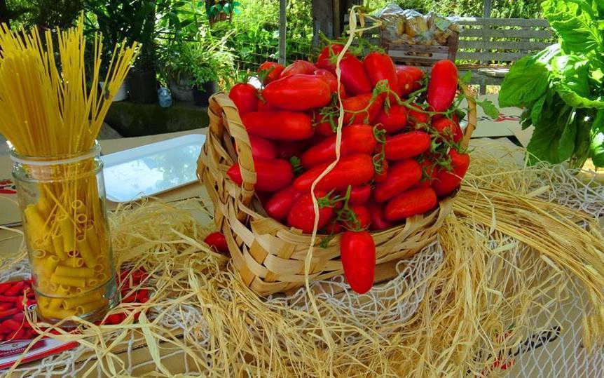 Сказки для плодов Сказки для плодов
