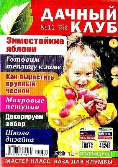 Огород и как за ним ухаживать за Огород и как за ним ухаживать за