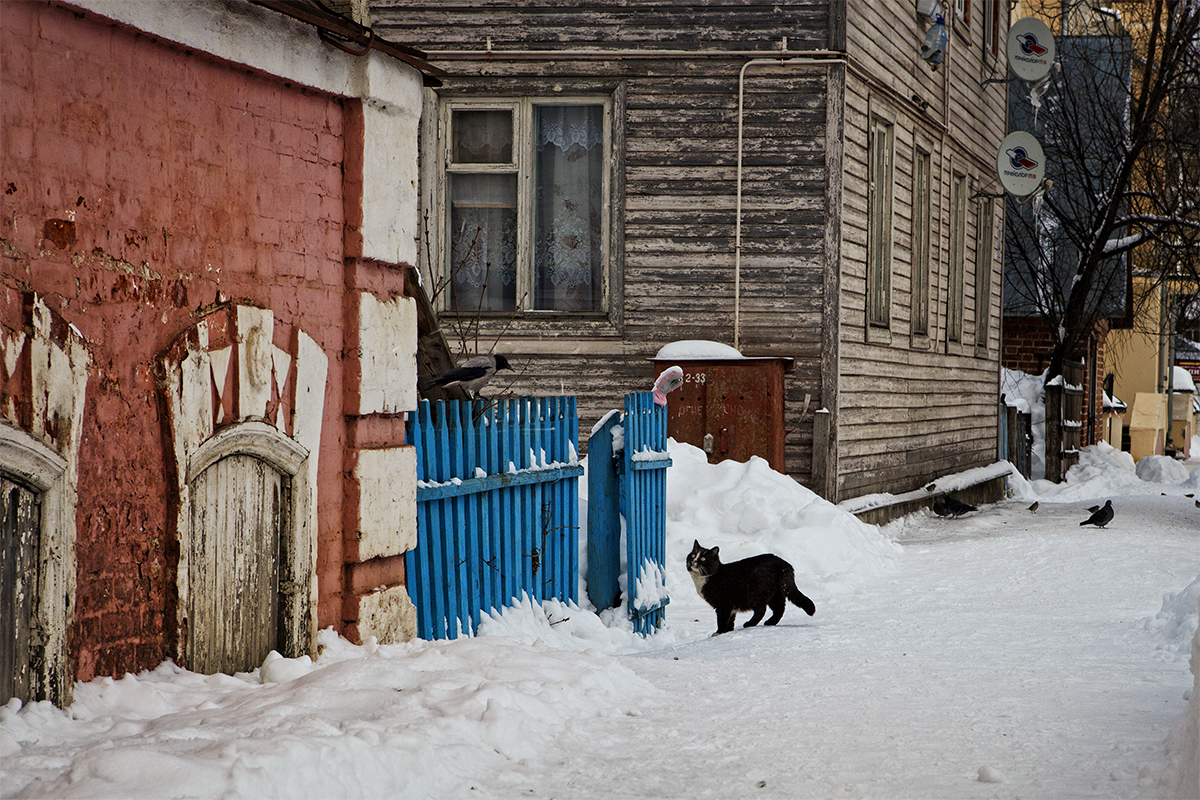 Какие шины зимой