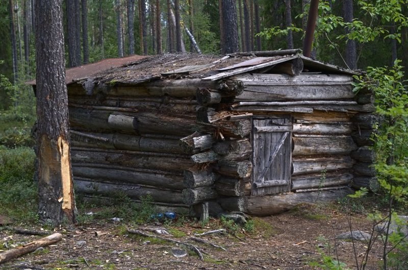 Страшная Ночь В Зимовье В Лесу Фото Страшная Ночь В Зимовье В Лесу Фото
