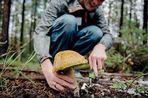 Если вы забыли сапоги для похода за грибами