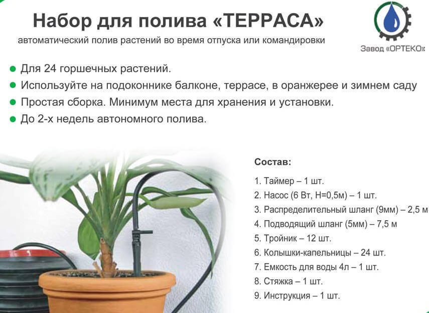 13 прикольных идей подарков 24 13 прикольных идей подарков 94