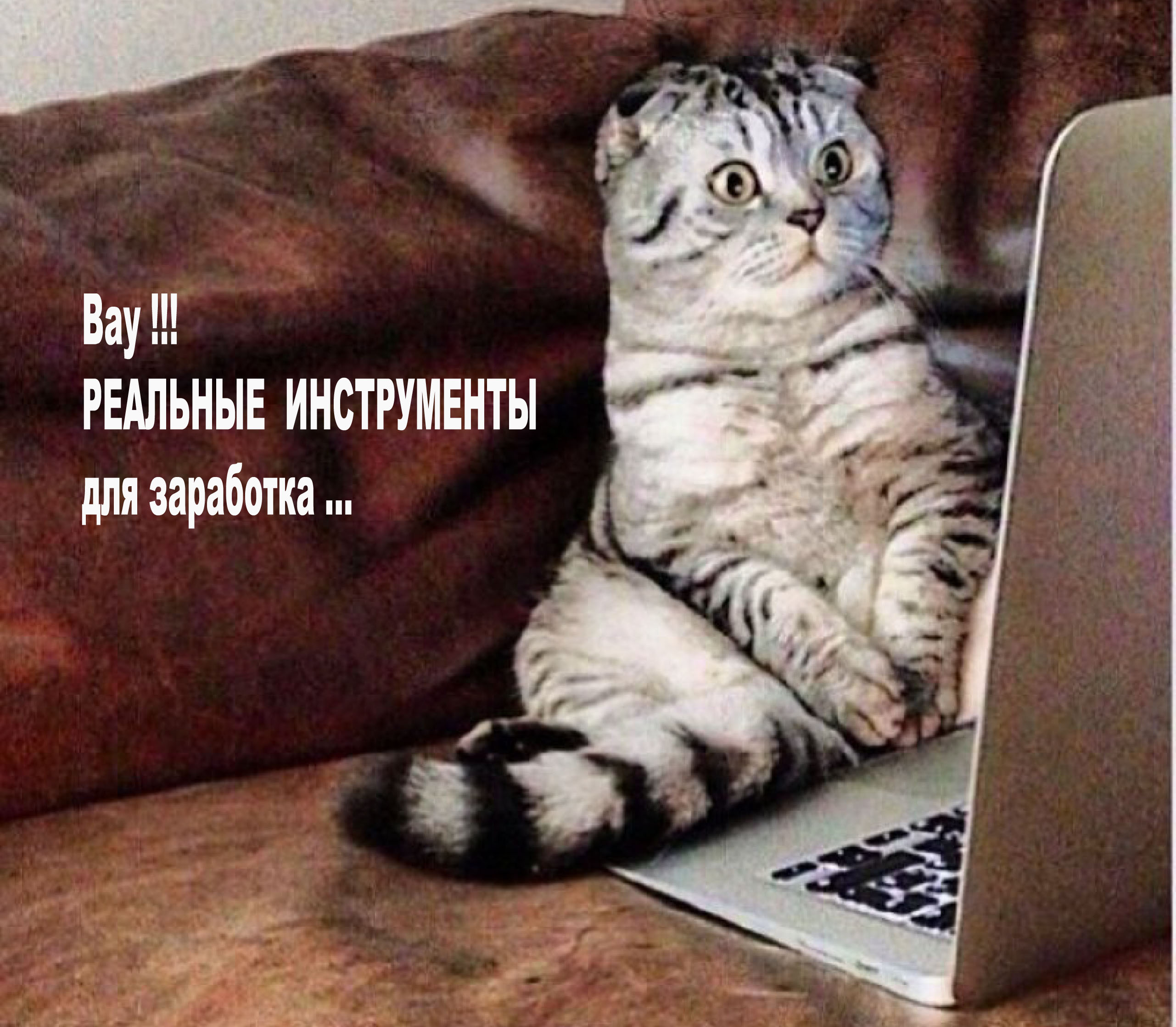 Работа в интернете
