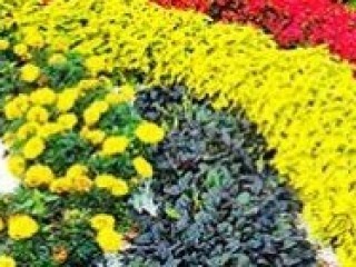 Как сделать правильный компост на даче Как сделать правильный компост на даче