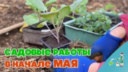 Садовые работы в начале мая