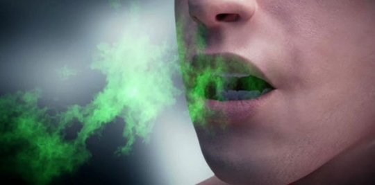 неприятный запах изо рта у йорка причины неприятный запах изо рта у йорка причины