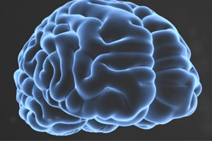 Витамины для мозга. Какие витамины необходимы для улучшения мозговой деятельности