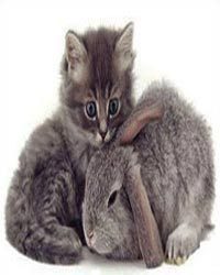 Пасхальные блюда и куличи