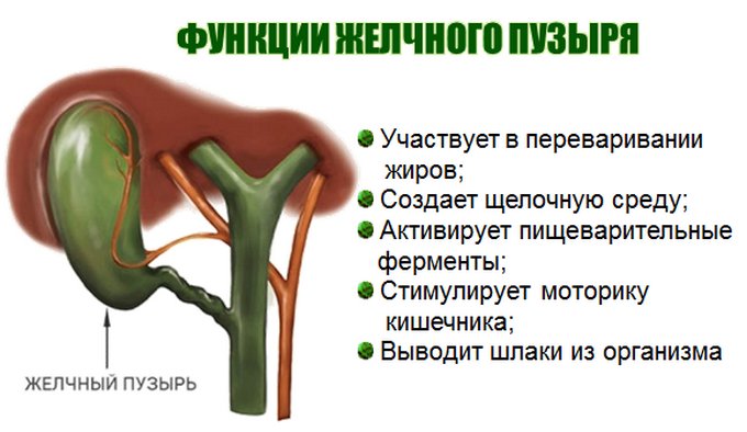 Десять продуктов, которые нужно есть в правильное время - KitchenMag.ru Десять продуктов, которые нужно есть в правильное время - KitchenMag.ru