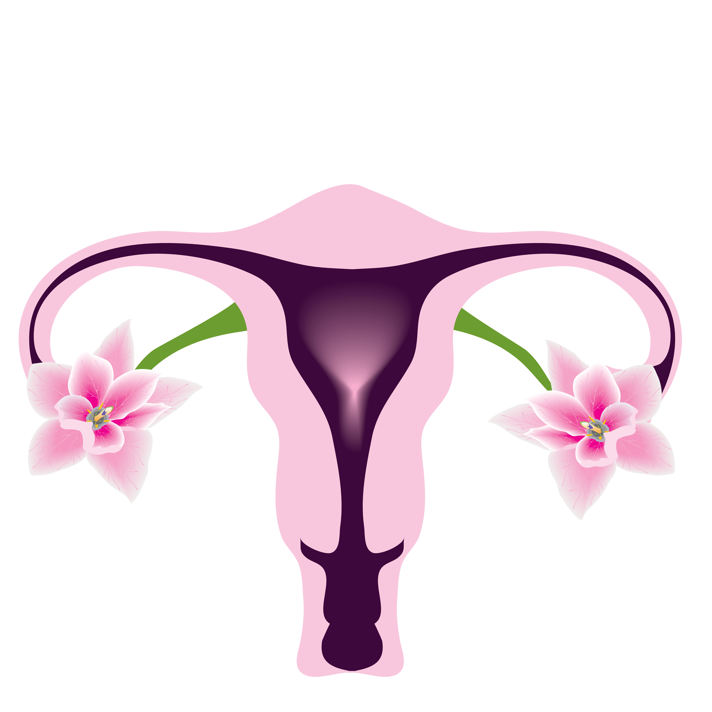 Женские органы в виде цветов