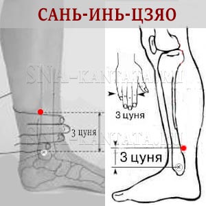 Где находится точка сань инь цзяо фото как массировать