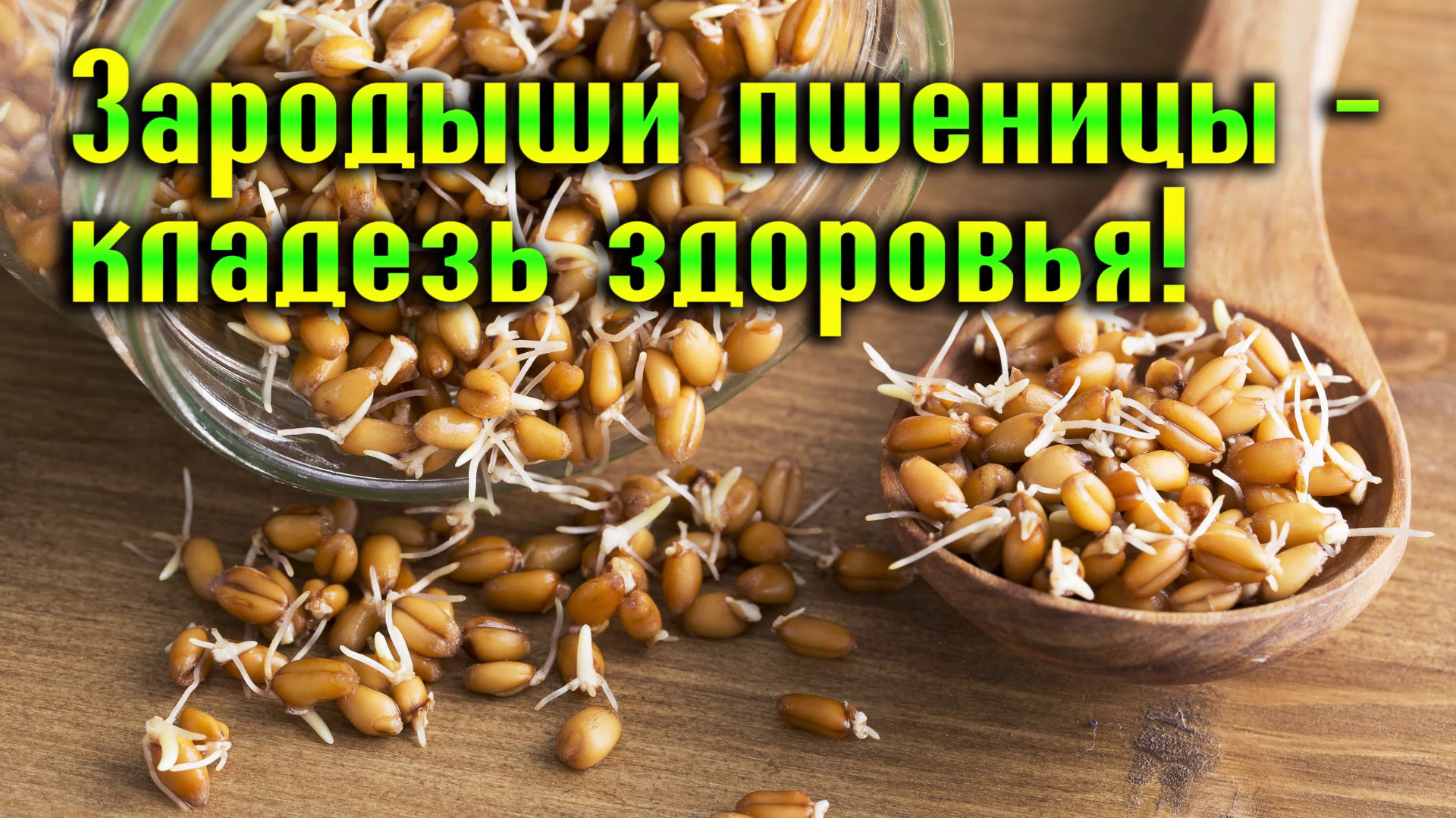 Зародыши пшеницы. Зародыши пшеницы пророщенные. Проросшая пшеница кладезь витаминов. Польза зародышей пшеницы. Зародыш пшеницы питательные вещества польза и вред.