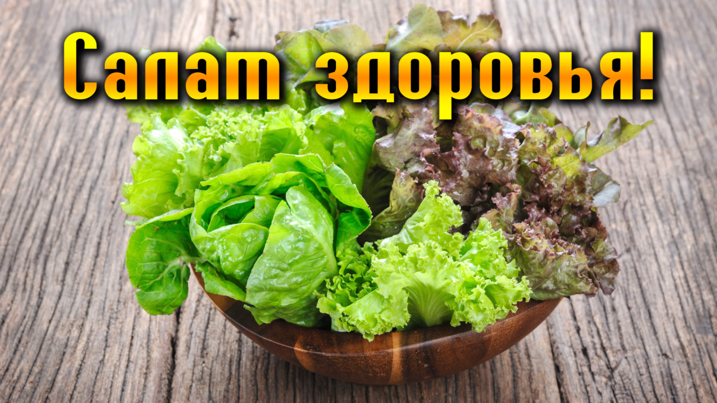 Польза листового салата для организма человека