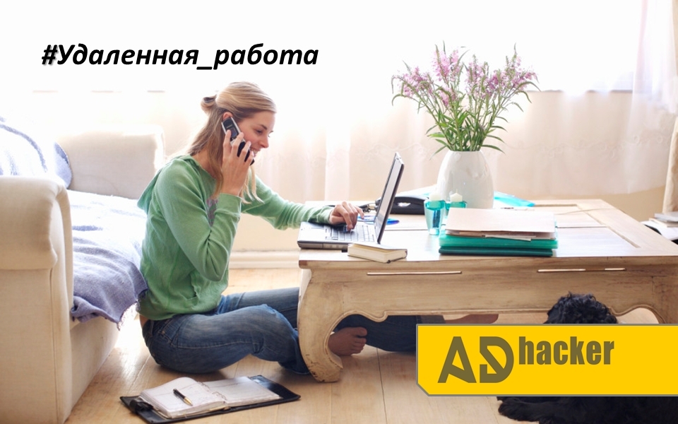 Знай работа