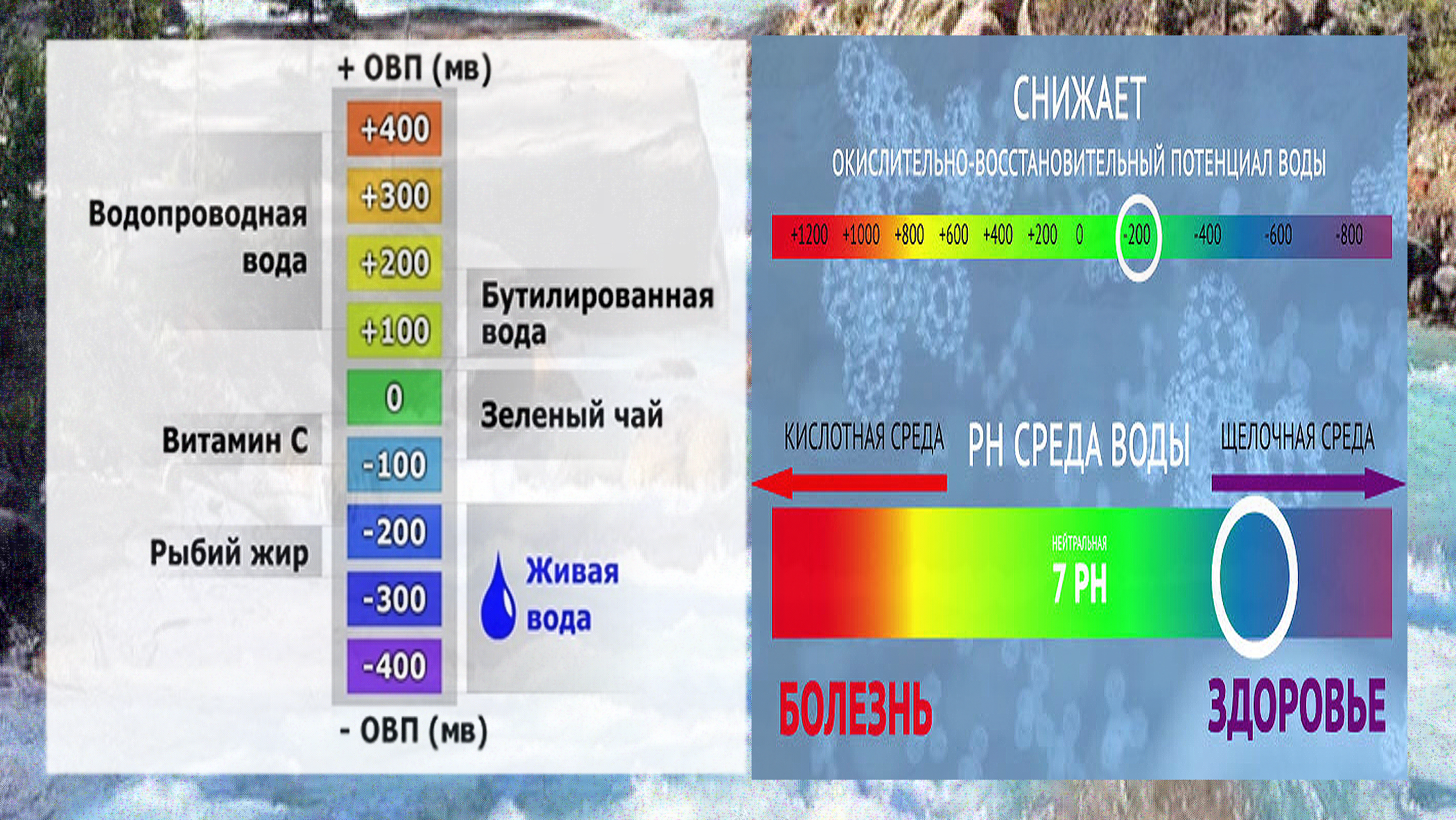 Карта города овп