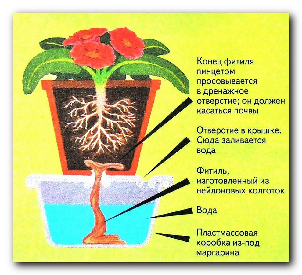 Фитиль почему не выполнили план