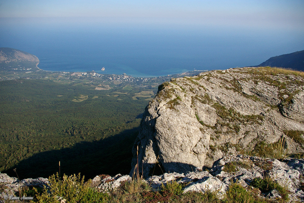 Проект заповедник крыма