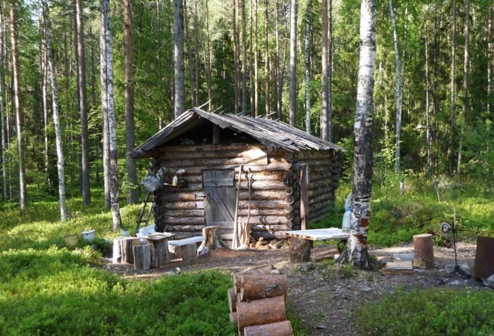 Изба в тайге Железногорск Красноярский край