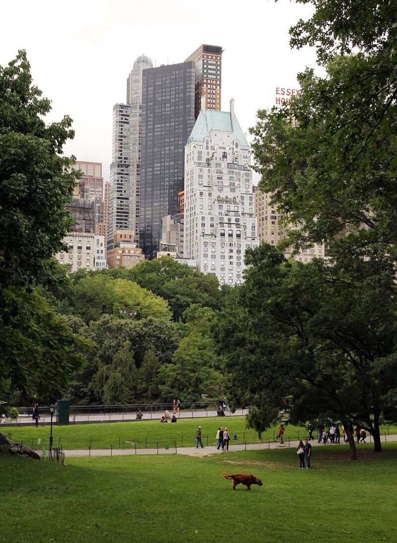 Парк в нью йорке название самый большой