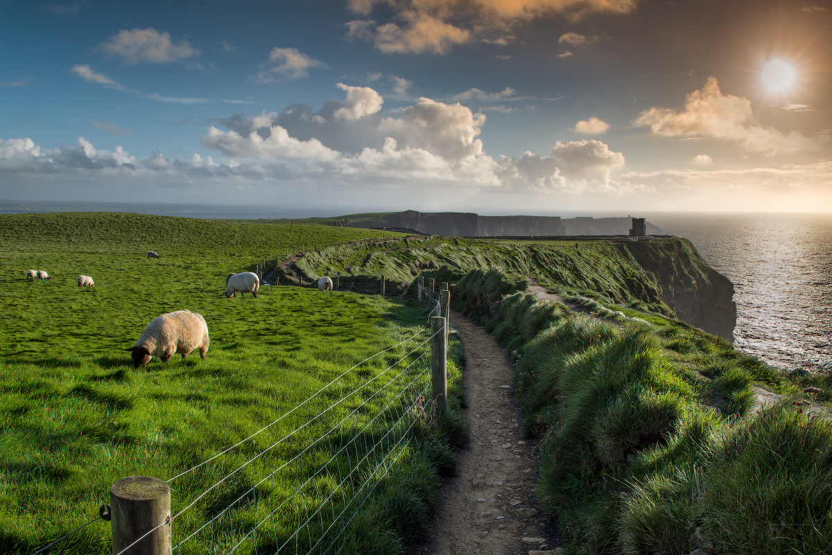 Dark markets ireland