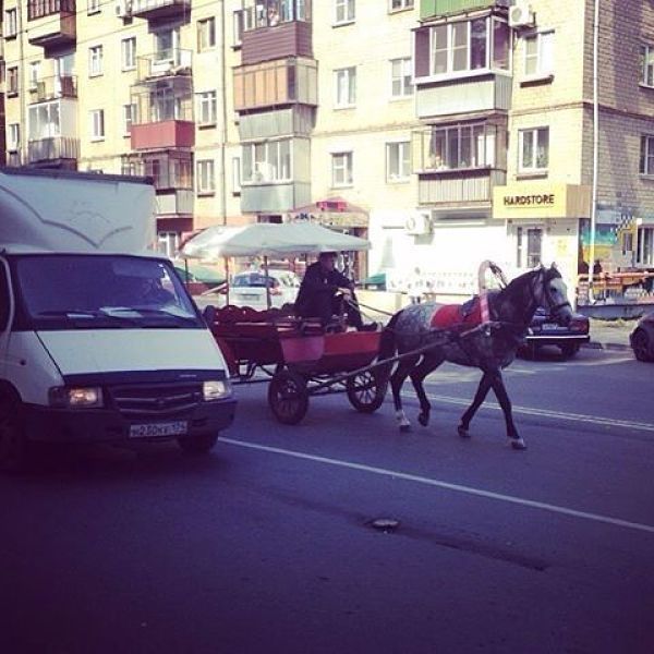 Приколы городе видео