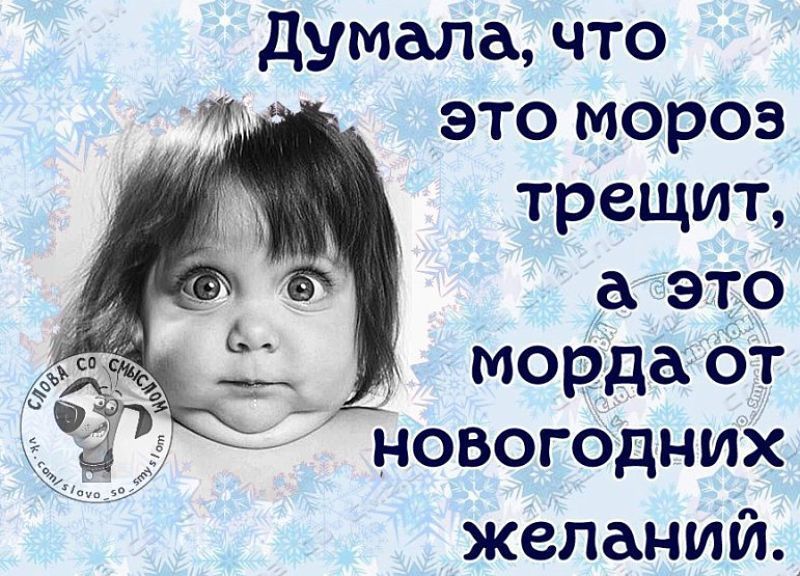 картинка думала мороз трещит а это морда такие были раньше