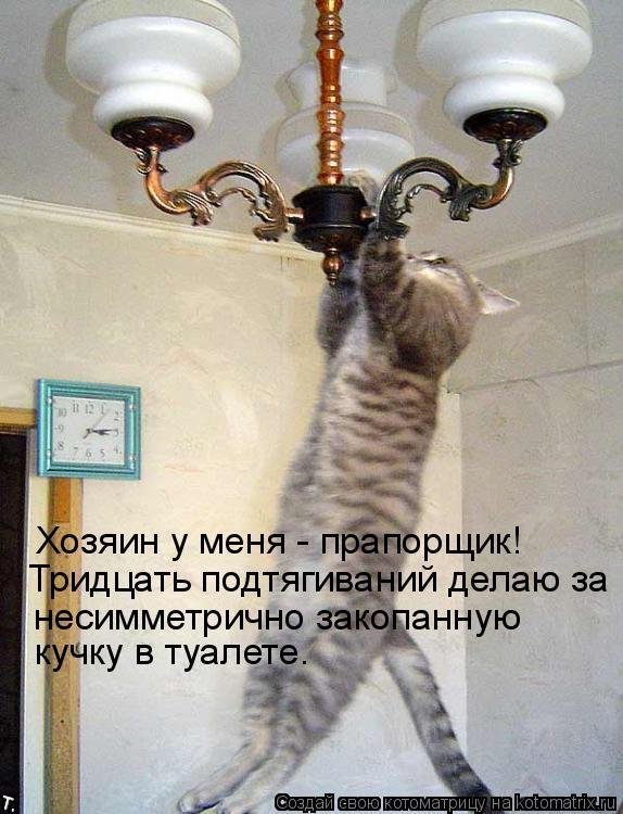 Картинка джерри, смешные истории из реальной жизни картинки с надписями прикольные новые